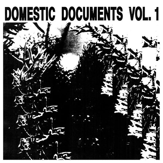 Va Domestic Documents Vol. 1: Compiled by Butter Sessions and Noise In My Head
