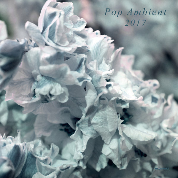 Va Pop Ambient 2017