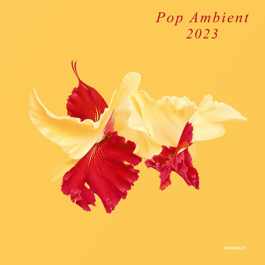 Va Pop Ambient 2023