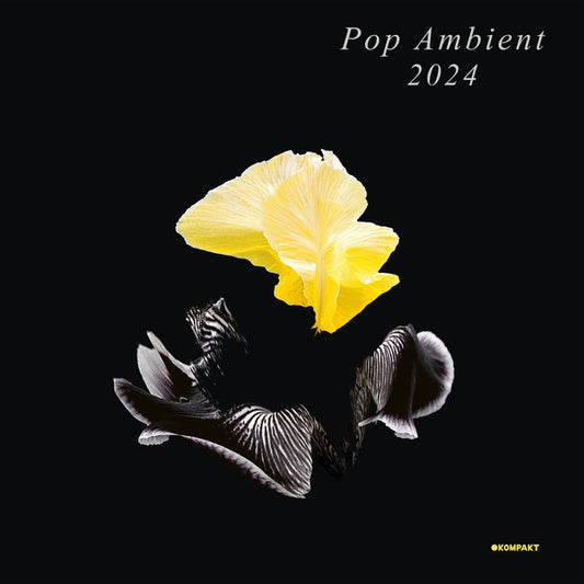 Va Pop Ambient 2024