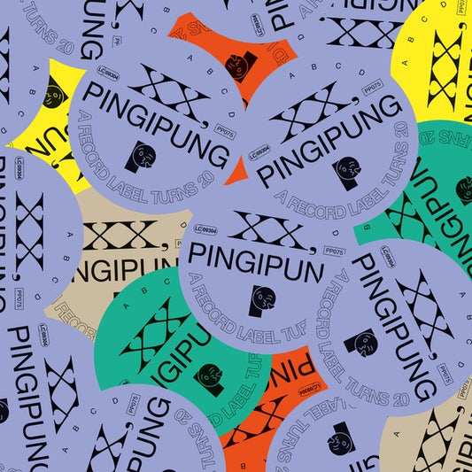 Va XX, Pingipung: A Record Label Turns 20