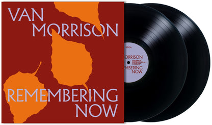 Van Morrison Remembering Now (2 LP)