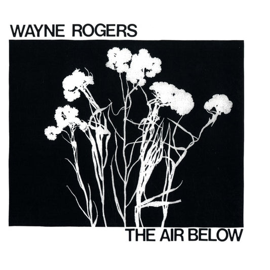 WAYNE ROGERS The Air Below