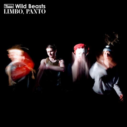 Wild Beasts Limbo, Panto