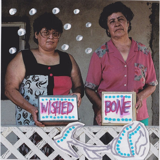 Wished Bone Pseudio Recordings