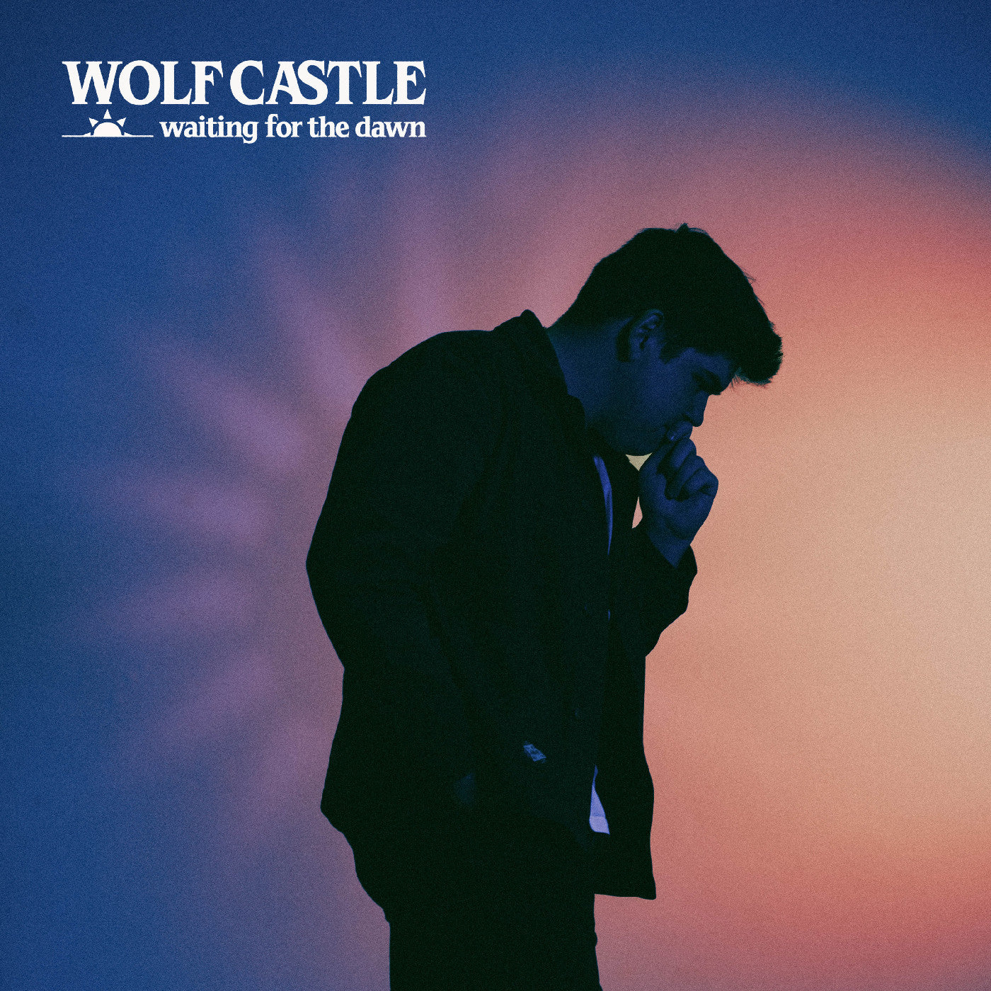 Wolf Castle Waiting For The Dawn