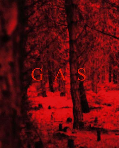 WOLFGANG VOIGT Gas