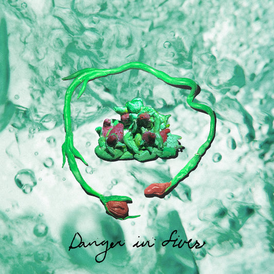 Wombo Danger In Fives