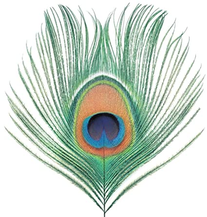 Xtc Apple Venus Vol. 1 (200 Gram Vinyl) [Import]