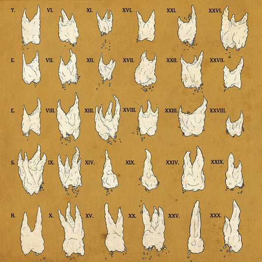 Yeesh Confirmation Bias (RED VINYL)