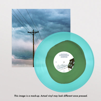 The New Pornographers - Continue as a Guest (Peak Vinyl)